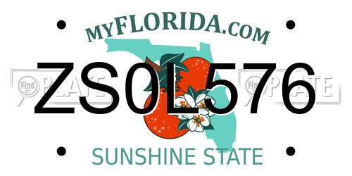 ZS0L576 Florida License Plate
