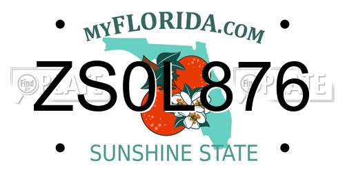 ZS0L876 Florida License Plate