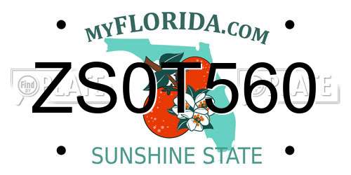 ZS0T560 Florida License Plate