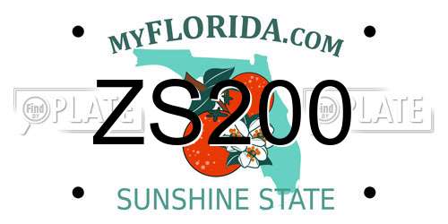 ZS200 Florida License Plate