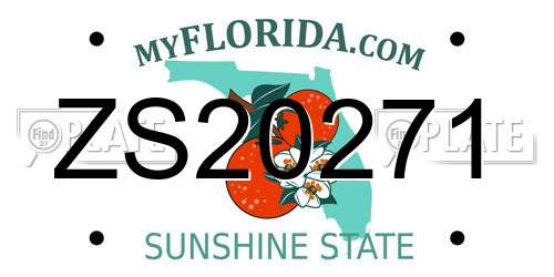 ZS20271 Florida License Plate