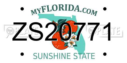 ZS20771 Florida License Plate