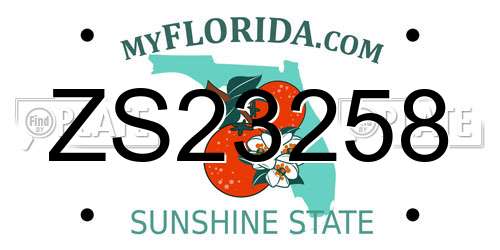 ZS23258 Florida License Plate