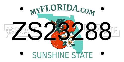 ZS23288 Florida License Plate