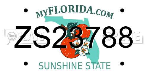 ZS23788 Florida License Plate