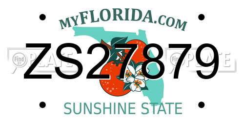 ZS27879 Florida License Plate