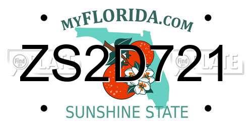 ZS2D721 Florida License Plate