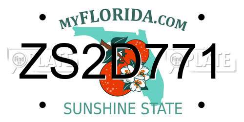 ZS2D771 Florida License Plate