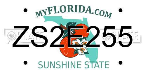 ZS2E255 Florida License Plate