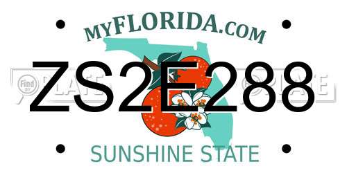 ZS2E288 Florida License Plate