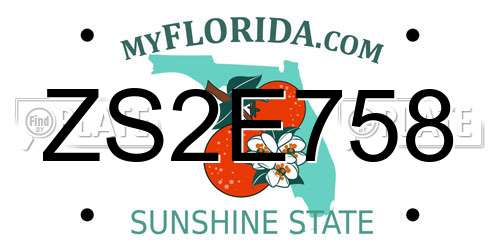 ZS2E758 Florida License Plate