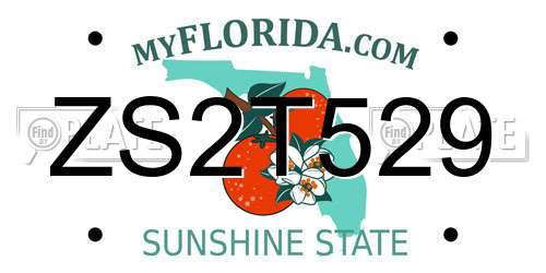 ZS2T529 Florida License Plate