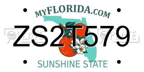 ZS2T579 Florida License Plate