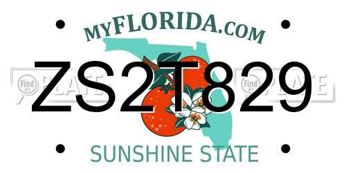 ZS2T829 Florida License Plate