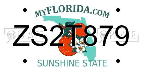 ZS2T879 Florida License Plate