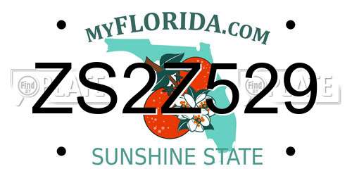 ZS2Z529 Florida License Plate
