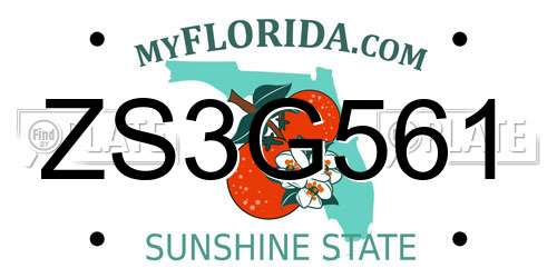 ZS3G561 Florida License Plate