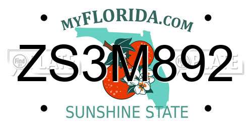 ZS3M892 Florida License Plate