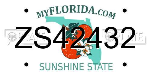ZS42432 Florida License Plate