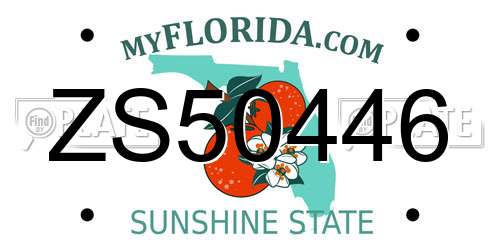 ZS50446 Florida License Plate