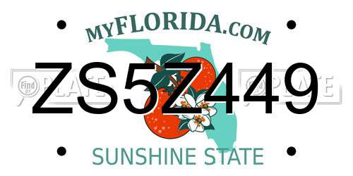 ZS5Z449 Florida License Plate