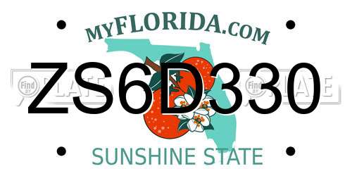 ZS6D330 Florida License Plate