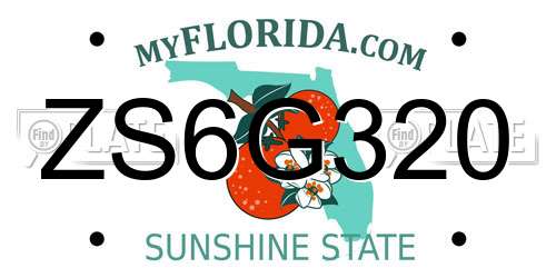 ZS6G320 Florida License Plate