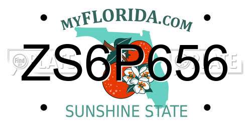 ZS6P656 Florida License Plate