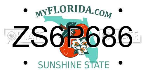 ZS6P686 Florida License Plate