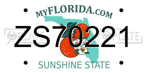ZS70221 Florida License Plate