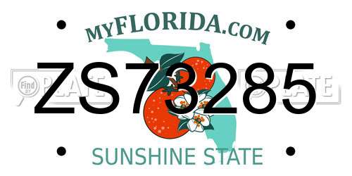 ZS73285 Florida License Plate