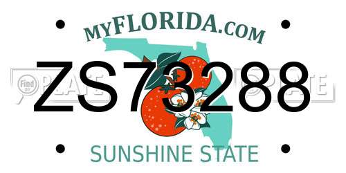 ZS73288 Florida License Plate