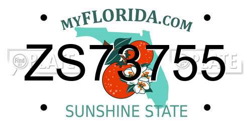 ZS73755 Florida License Plate