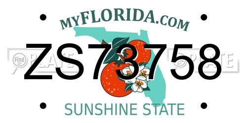 ZS73758 Florida License Plate