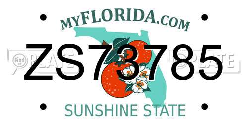 ZS73785 Florida License Plate