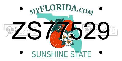 ZS77529 Florida License Plate