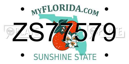 ZS77579 Florida License Plate