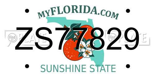 ZS77829 Florida License Plate