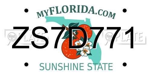 ZS7D771 Florida License Plate