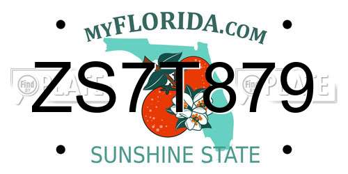 ZS7T879 Florida License Plate