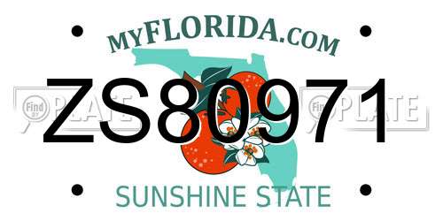 ZS80971 Florida License Plate