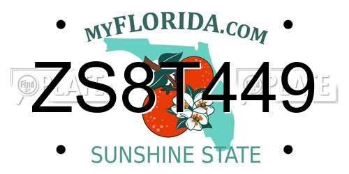 ZS8T449 Florida License Plate