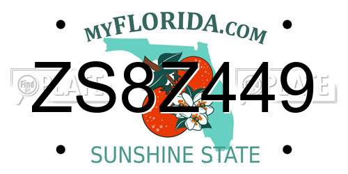 ZS8Z449 Florida License Plate