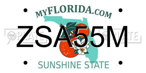 ZSA55M Florida License Plate