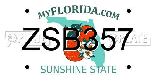 ZSB357 Florida License Plate