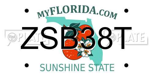 ZSB38T Florida License Plate