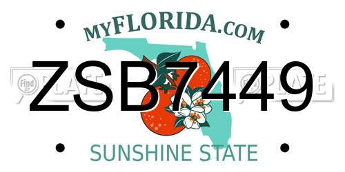 ZSB7449 Florida License Plate