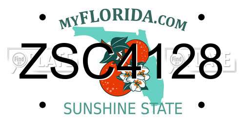 ZSC4128 Florida License Plate