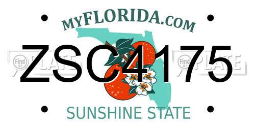 ZSC4175 Florida License Plate