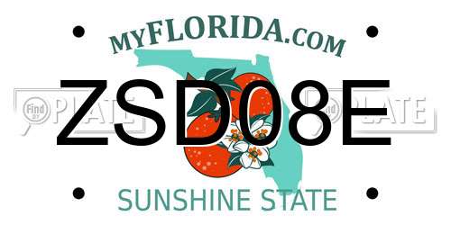 ZSD08E Florida License Plate